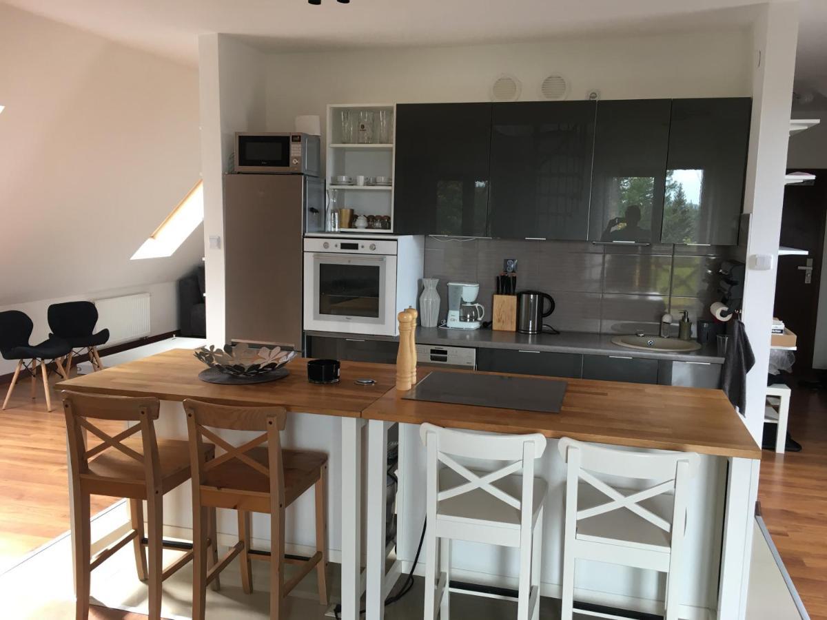 Apartament Urocza Przy Wyciagu Ski Arena シクラルスカ・ポレンバ エクステリア 写真
