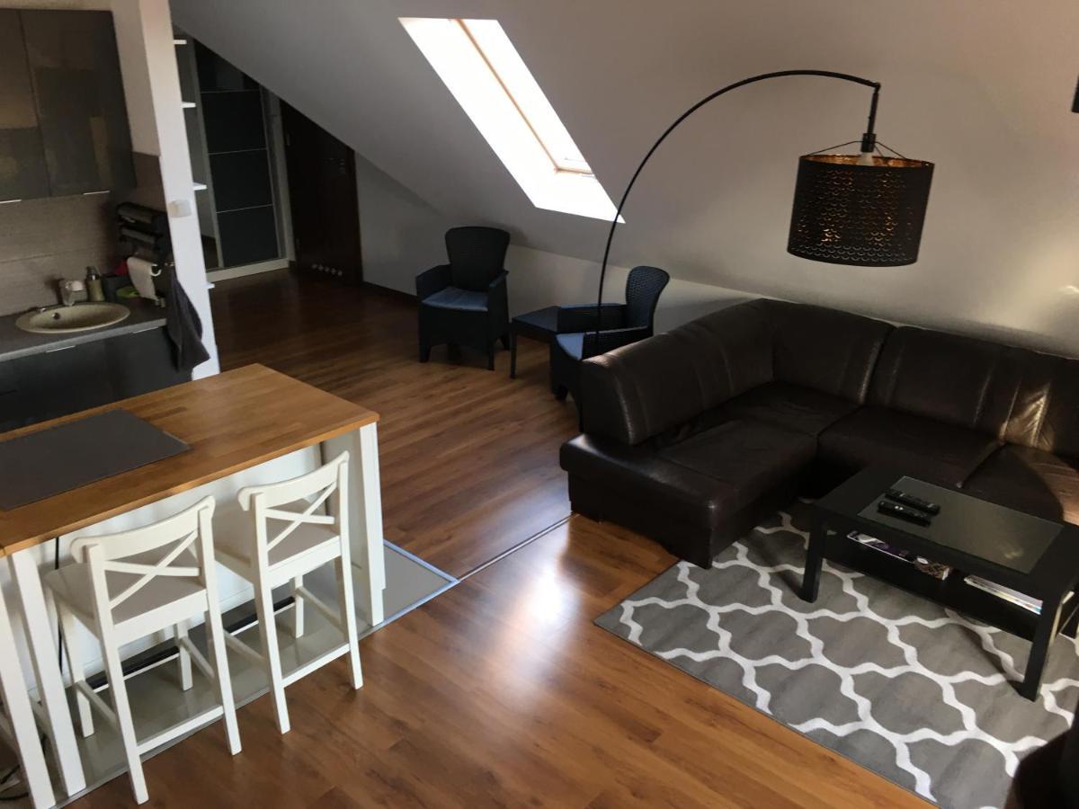 Apartament Urocza Przy Wyciagu Ski Arena シクラルスカ・ポレンバ エクステリア 写真